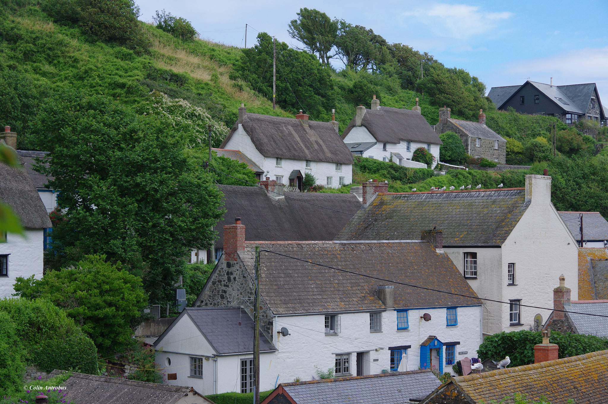 Cadgwith